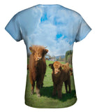 Highland Furry Cattle