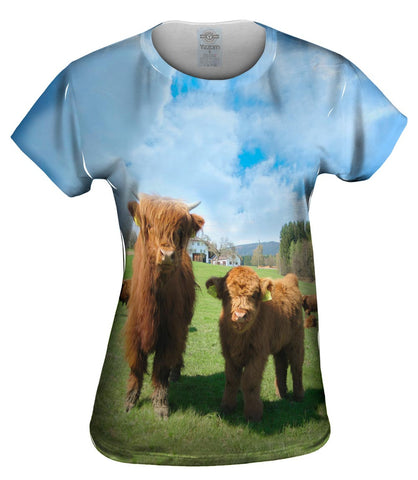 Highland Furry Cattle