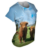 Highland Furry Cattle