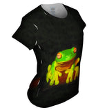 Red Eyed Tree Frog Good Grip
