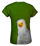 Egyptian Vulture