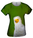 Egyptian Vulture