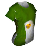 Egyptian Vulture