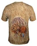 Wild Shortbeak Porcupine