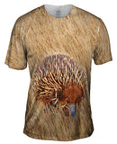 Wild Shortbeak Porcupine