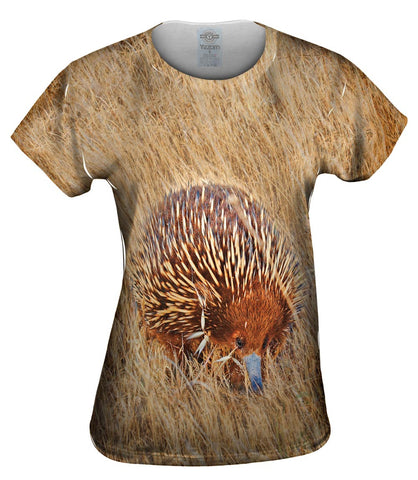 Wild Shortbeak Porcupine