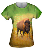 American Bison