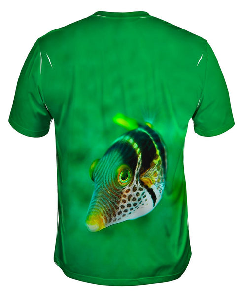 Valentini Fish Stare Underwater&nbsp;Mens T-Shirt
