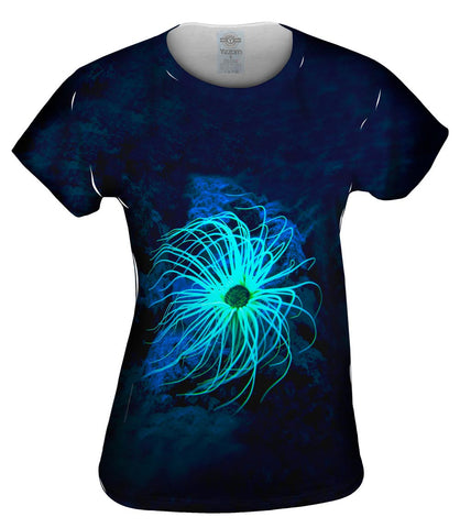 Glowing Underwater Coral Ceriantharia