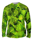 Fractal Broccoli
