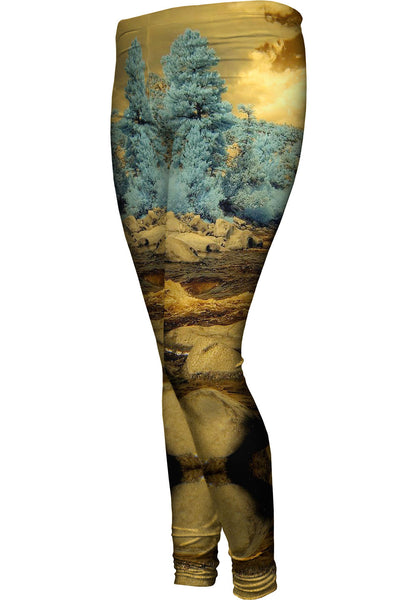 Buena Vista Colorado Womens Leggings