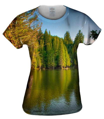 Loch Lomond Reservoir