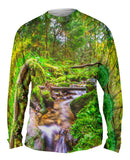 Fall Forest