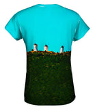 Windmills Of Castilla - La - Mancha