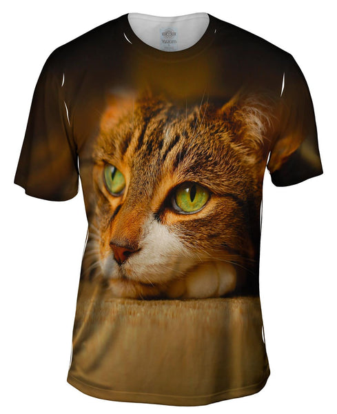 Calm Cute Cat Mens T-Shirt