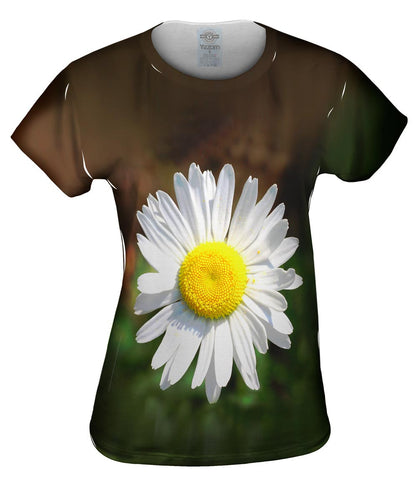 Garden Daisy Morning