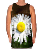 Garden Daisy Morning