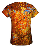 Pretty Maple Tree Turning Fall Colors