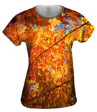 Pretty Maple Tree Turning Fall Colors