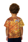 Kids Pretty Maple Tree Turning Fall Colors