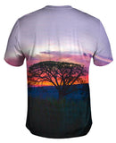 Tree In Silhouette At Sunset