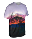 Tree In Silhouette At Sunset