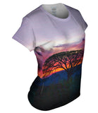 Tree In Silhouette At Sunset