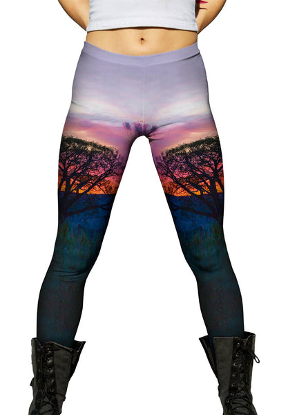 Tree In Silhouette At Sunset Womens Leggings