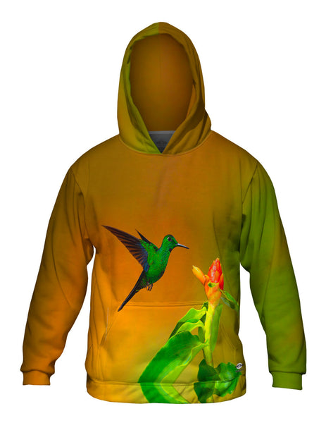 Green Crowned Brilliant&nbsp;Mens Hoodie Sweater