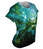 Rays Of Sun Through Smoke In The Trees