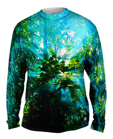 Rays Of Sun Through Smoke In The Trees