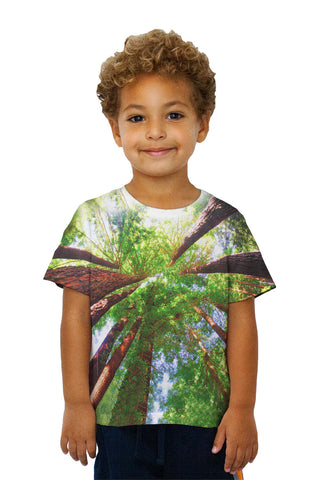 Kids Redwoods Sunlight Coming From Above