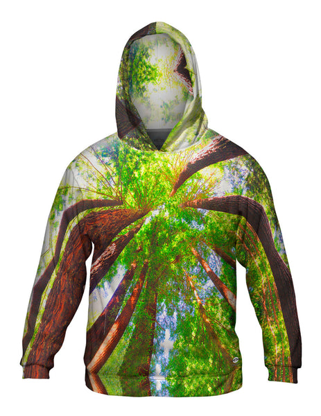 Redwoods Sunlight Coming From Above&nbsp;Mens Hoodie Sweater