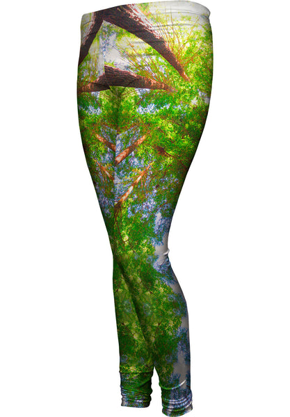 Redwoods Sunlight Coming From Above Womens Leggings