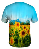 Sunflowers Montain View Thailand