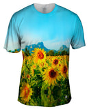 Sunflowers Montain View Thailand