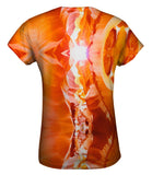 Sandstone Cliffs Sun Shining