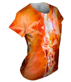 Sandstone Cliffs Sun Shining