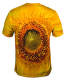 Summer Yellow Sunflower