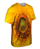 Summer Yellow Sunflower