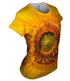 Summer Yellow Sunflower