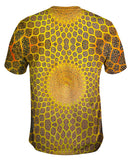 Golden Mosque Ceiling Isfahan Lotfollah Architecture