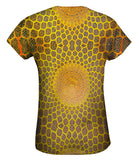 Golden Mosque Ceiling Isfahan Lotfollah Architecture