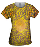 Golden Mosque Ceiling Isfahan Lotfollah Architecture