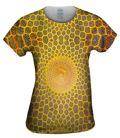 Golden Mosque Ceiling Isfahan Lotfollah Architecture