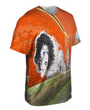 Get Your Graffiti Fix