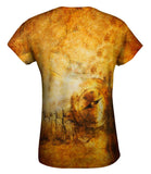 Pirate Islands Of Treasure