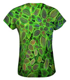 Pilea Involucrata The Friendship Plant