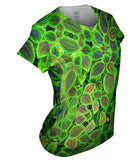 Pilea Involucrata The Friendship Plant