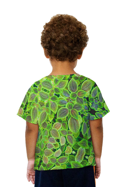 Kids Pilea Involucrata The Friendship Plant Kids T-Shirt